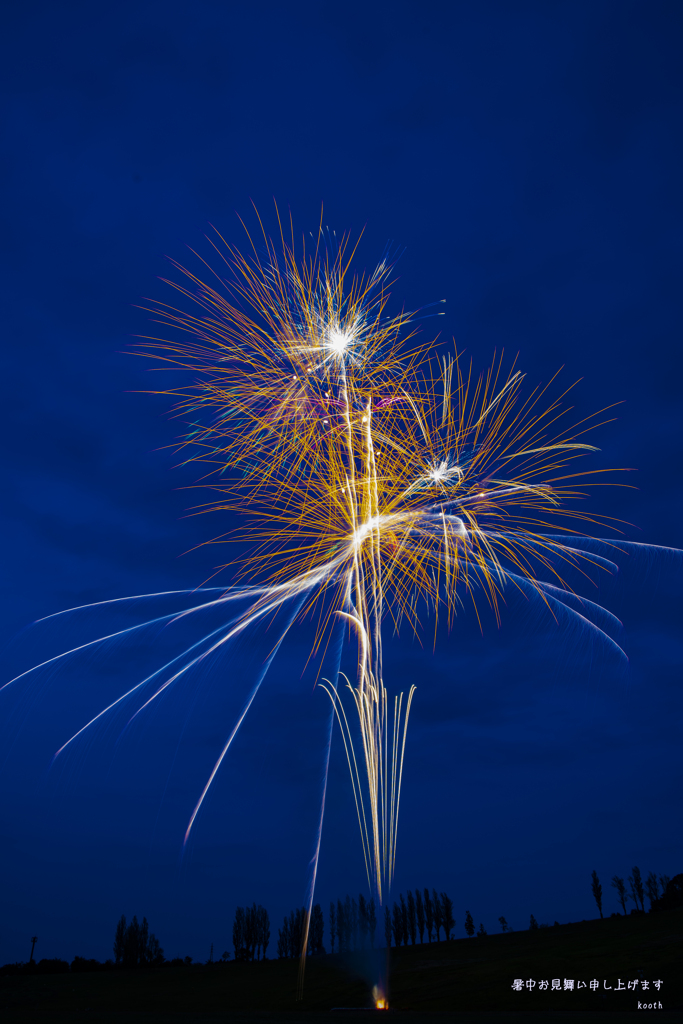 暑中お見舞い申し上げます