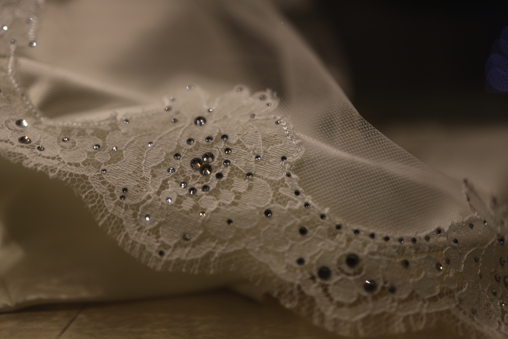 借りてきたEOS Rで 5