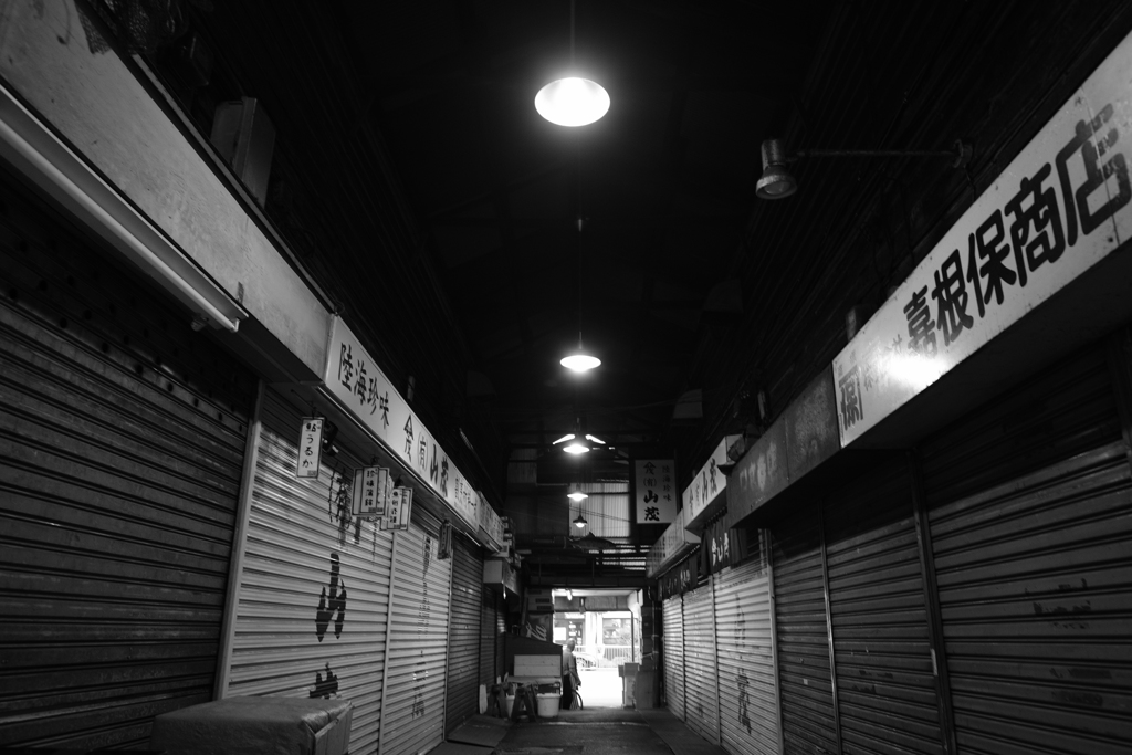 借りてきたX-T20で 3