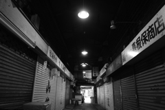 借りてきたX-T20で 3