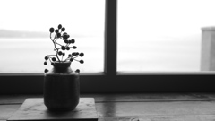 @ティーショップ夕日1