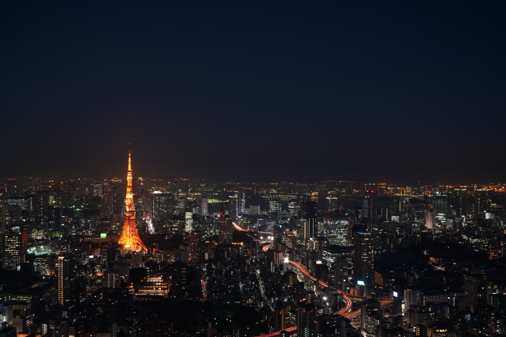 借りてきたα7RIIIで 1