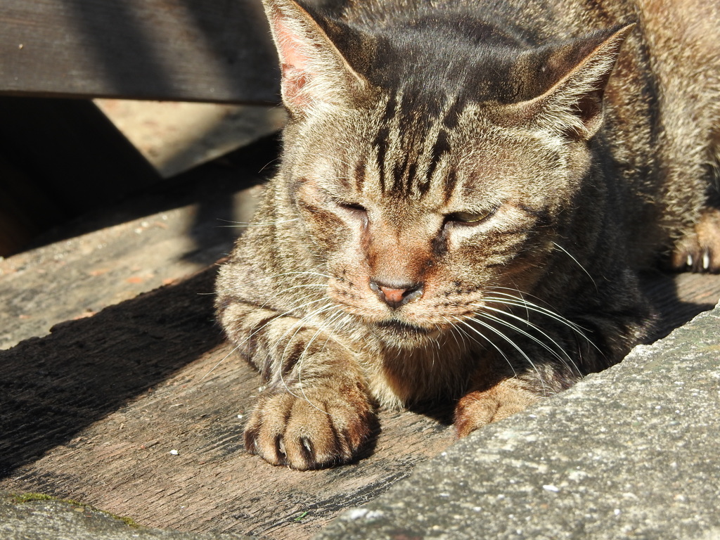 眠気
