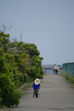 夏に駆け出せ