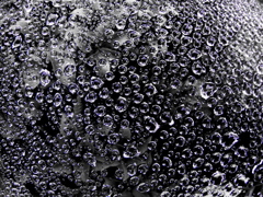 露