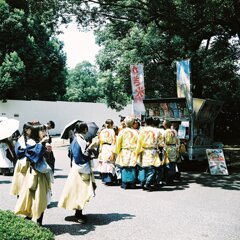 元氣の素