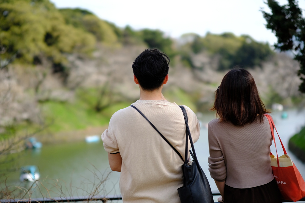 千鳥ヶ淵 定点 2025 5