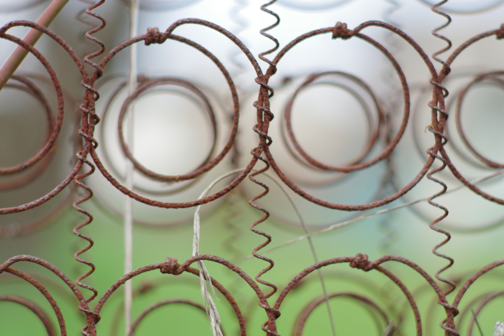 春のスプリング