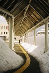 雪は降るが日射しあり