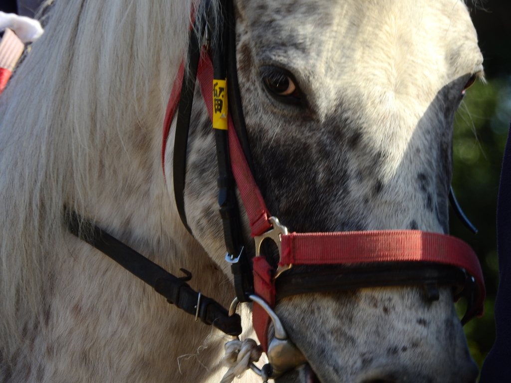 まだまだ若いまだ若い