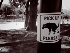 PICK UP PLEASE!!