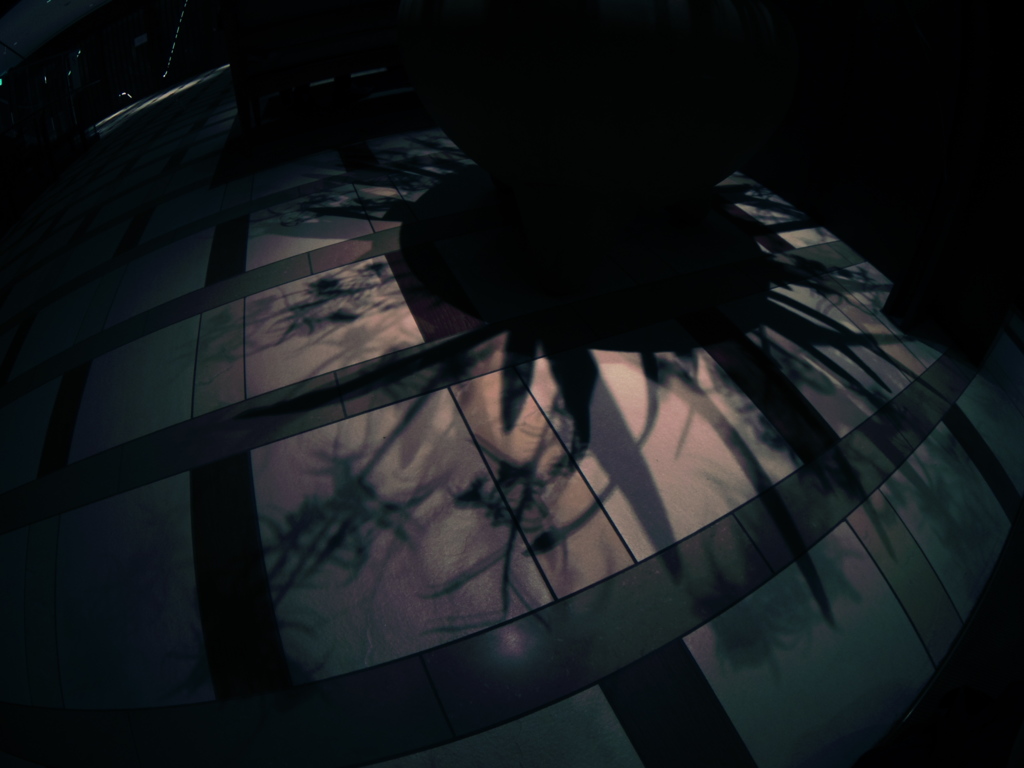 黒いプロミネンス