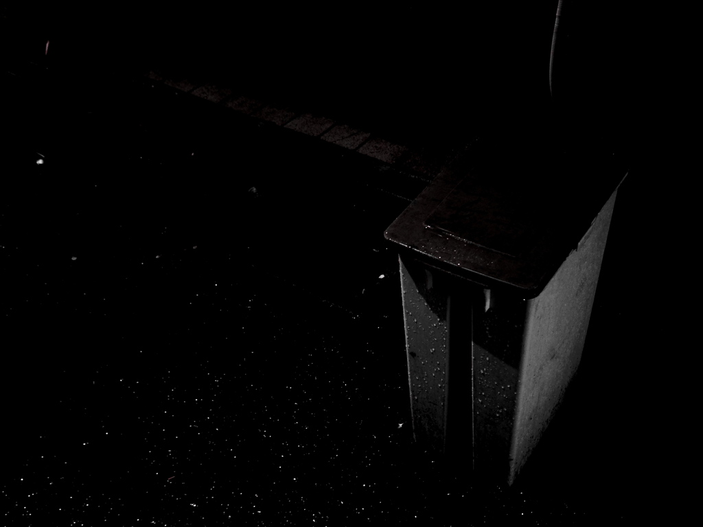 今週の写真はゴミ箱へ