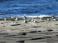 避難用滑り台の上の上