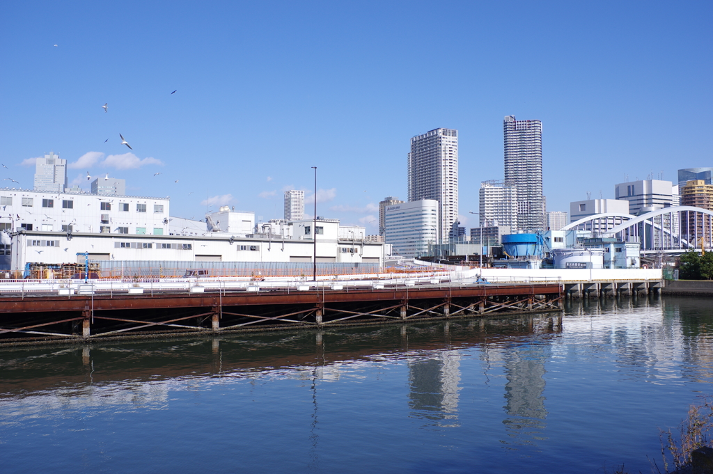 オリンピック道路（仮）