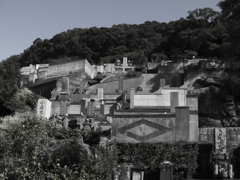 蛍茶屋の車庫の隣は
