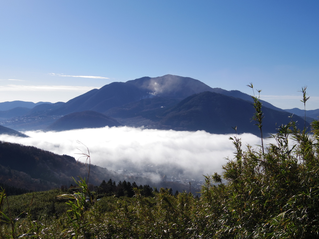 金時山への稜線から箱根内輪山を望む