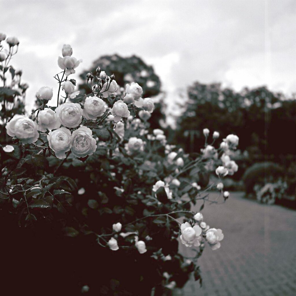 ＠山下公園