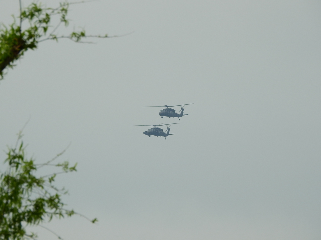 朝から忙しい方たち