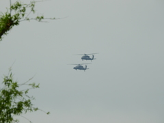 朝から忙しい方たち