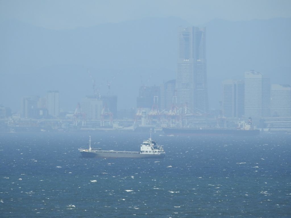 橋の上から対岸を