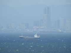 橋の上から対岸を