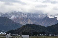 紅葉の一生