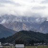 紅葉の一生