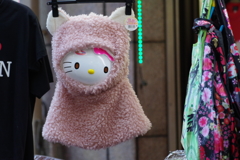 それは干物か幽霊か