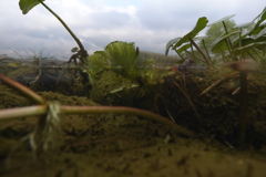 境界がなかなか消せない