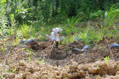 除染途中の公園で