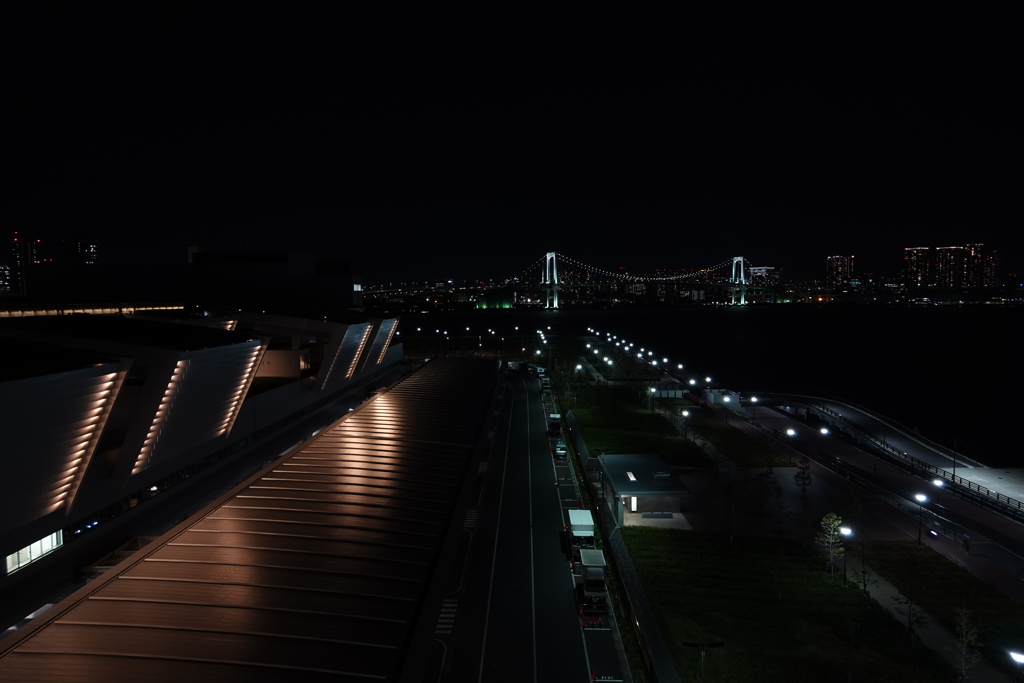 夜の豊洲市場は結構良い