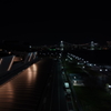夜の豊洲市場は結構良い