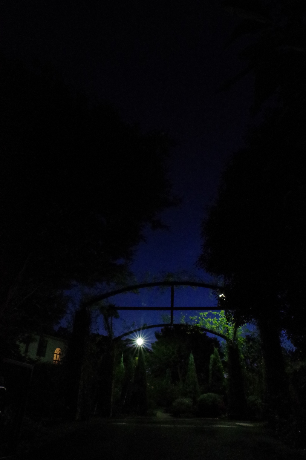 イングリッシュローズの庭