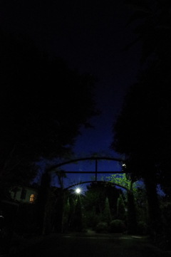 イングリッシュローズの庭