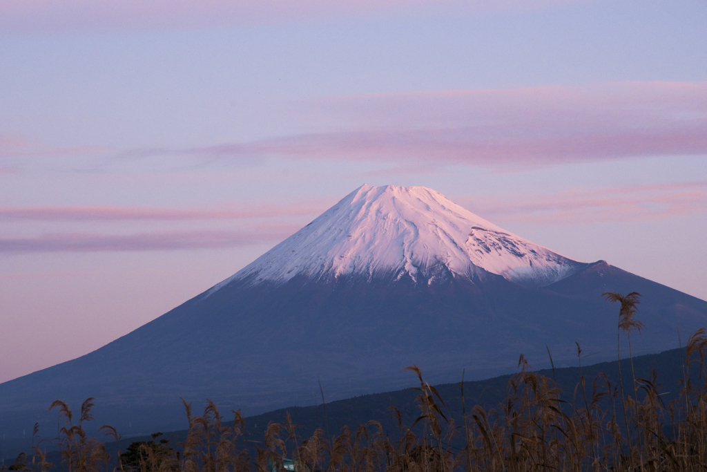 今年の年賀状用写真6