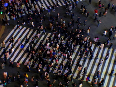 Shibuya Crossing 2