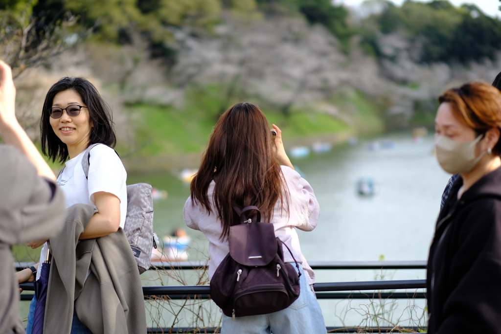 千鳥ヶ淵 定点 2025 6