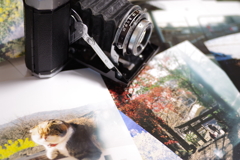 光線漏れがひどくなった