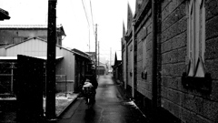 雪が積もる前に