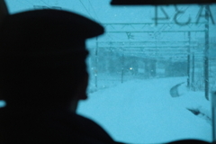 雪を視る