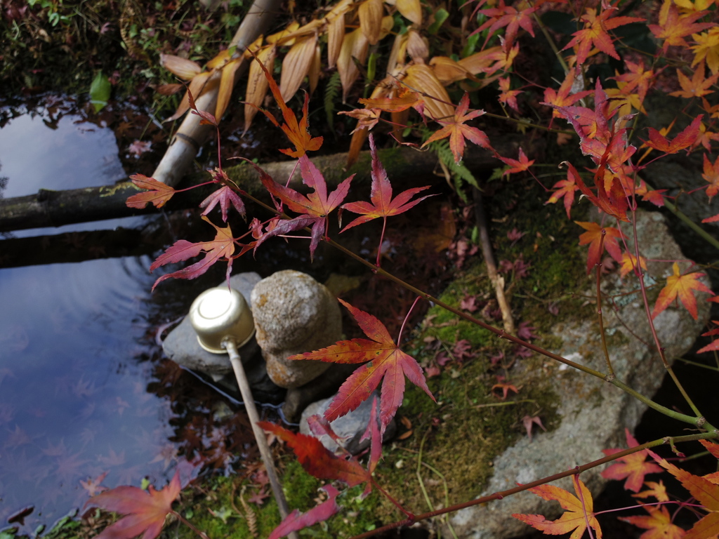 お寺で紅葉