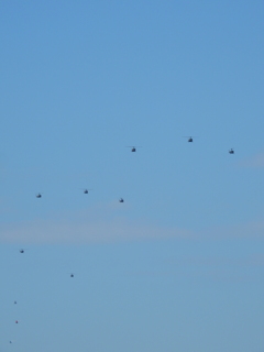 うるさいやつら