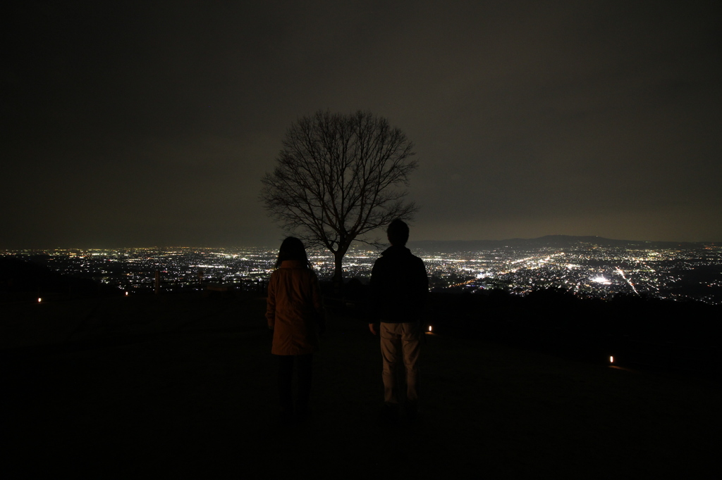 夜景-若草山より-