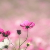 長野にて
