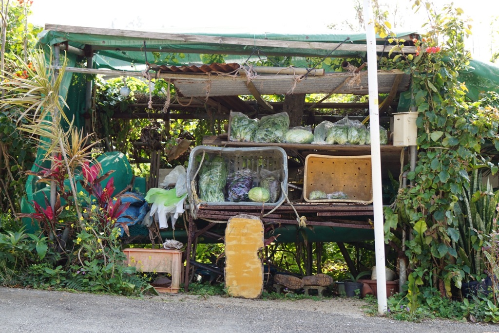 田舎の風景