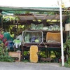 田舎の風景