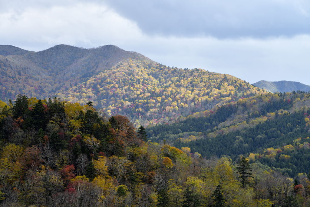とある山の紅葉