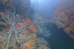 こっちだよ