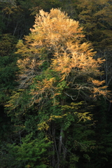 変化